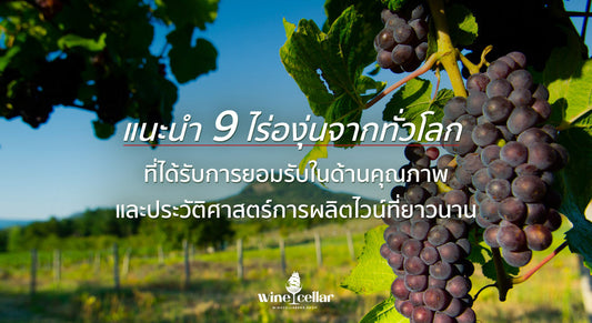แนะนำ 9 ไร่องุ่นจากทั่วโลกที่ได้รับการยอมรับในด้านคุณภาพ และประวัติศาสตร์การผลิตไวน์ที่ยาวนาน