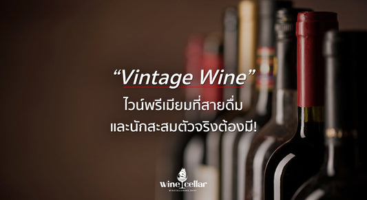“Vintage Wine” ไวน์พรีเมียมที่สายดื่ม และนักสะสมตัวจริงต้องมี!